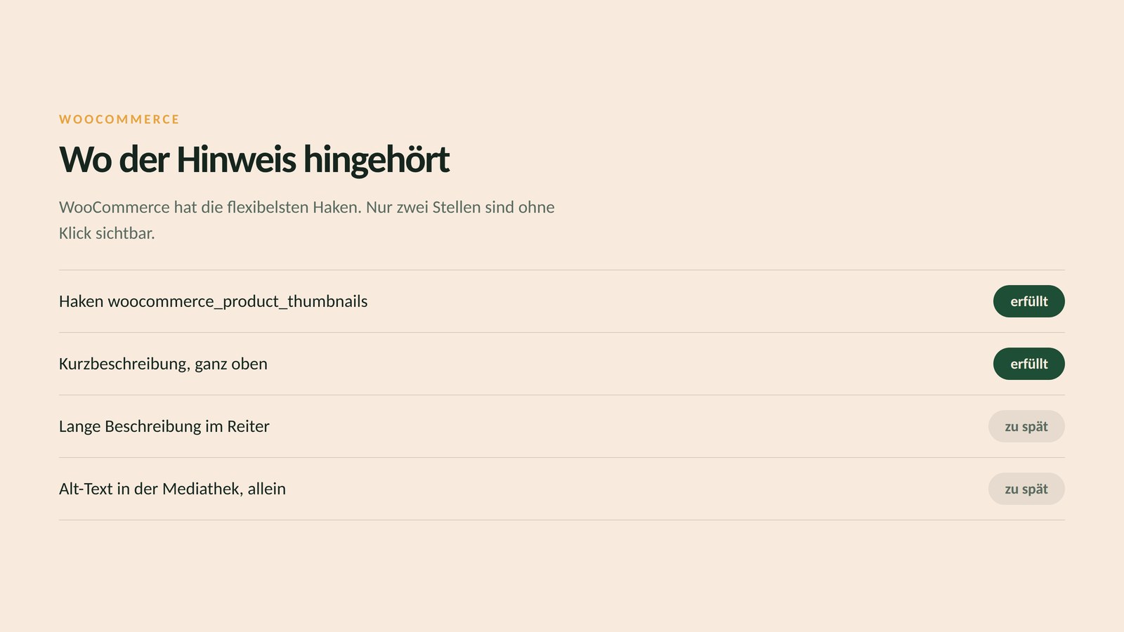 Vier Orte in WooCommerce mit Bewertung: der Haken nach der Bildergalerie und die Kurzbeschreibung erfüllen die Anforderung, die lange Beschreibung im Reiter und der Alt-Text allein kommen zu spät.